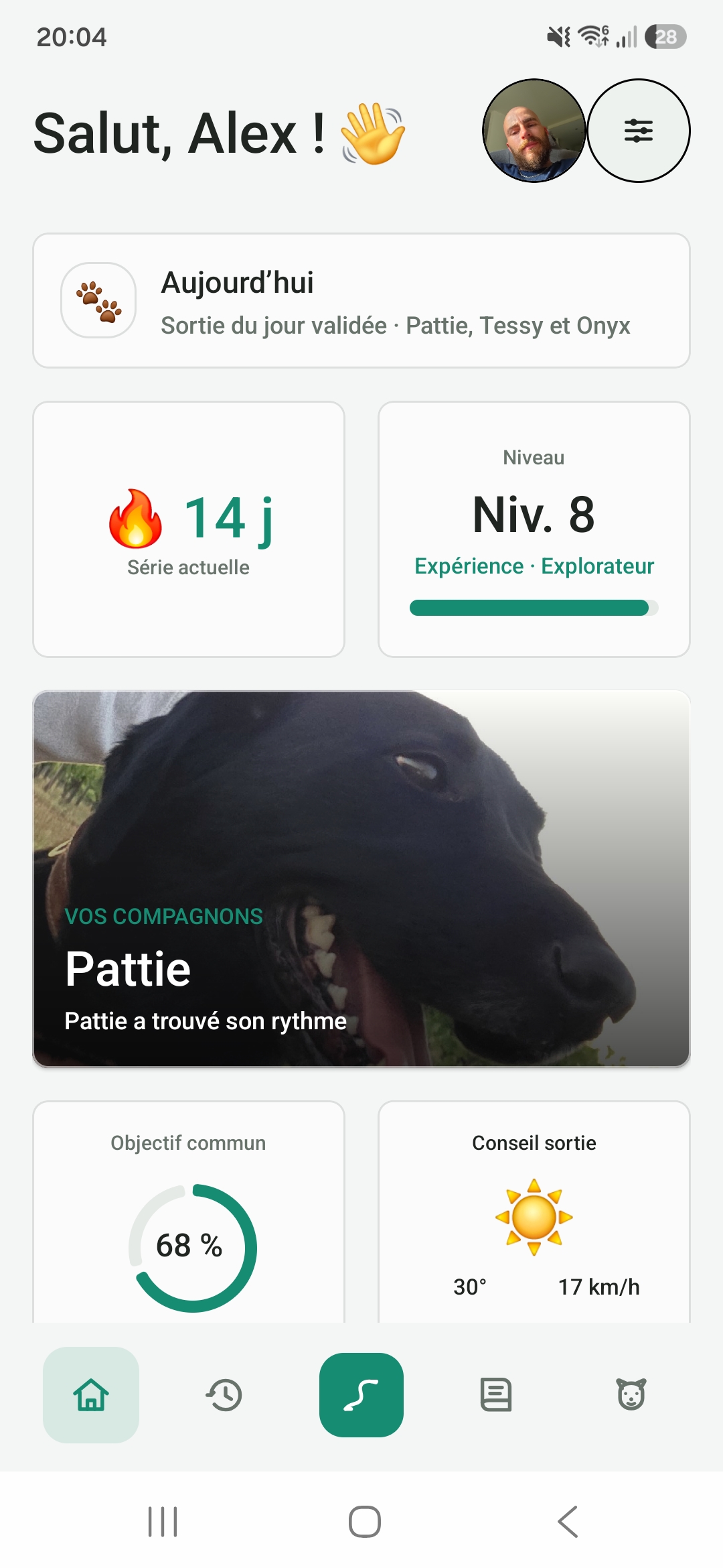 Aperçu Canipattes 1